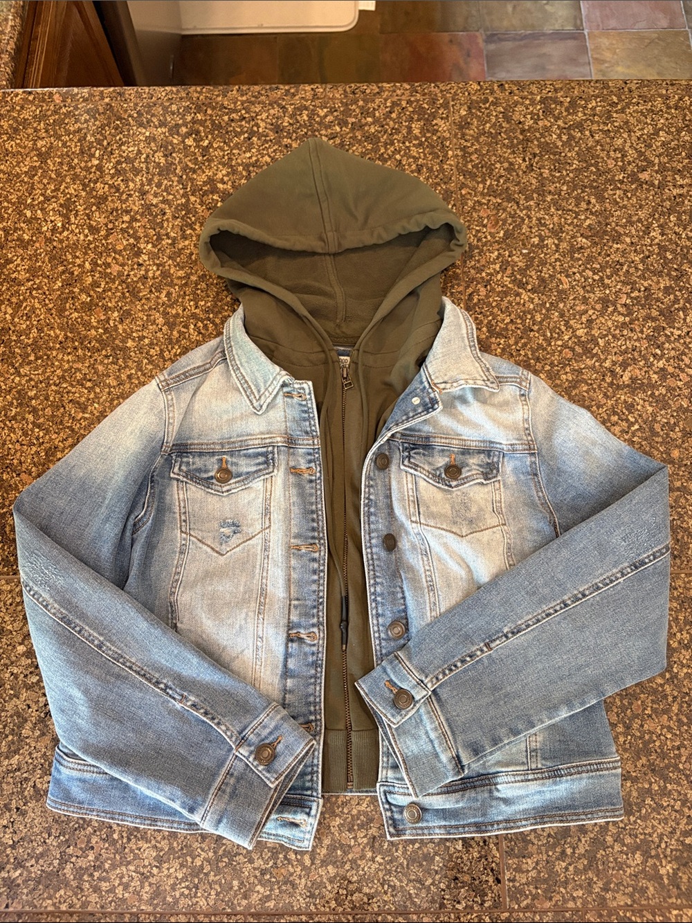 Good Hart Brand Joshua Tree Boyfriend Denim Jacket